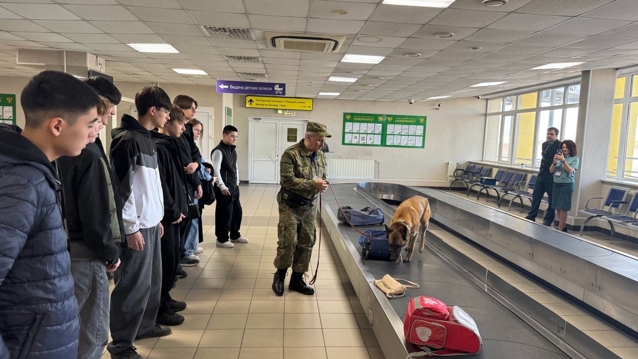 Знакомство с профессией